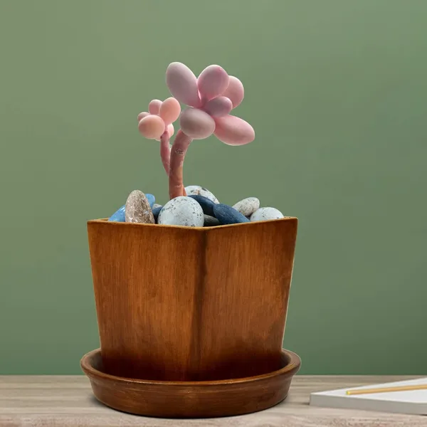 Mini_Ceramic_Pot_With_Saucer_Plate_Tray_For_Indoor_Plants_Living_Room_Home_Décor_(Color:_Antique,_Plate:_Round_3.5_Inch)
