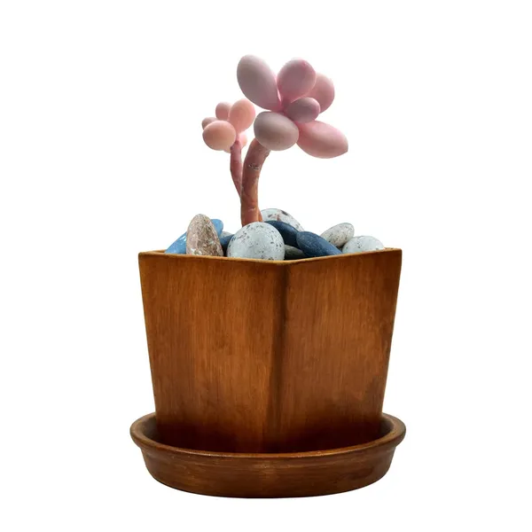Mini_Ceramic_Pot_With_Saucer_Plate_Tray_For_Indoor_Plants_Living_Room_Home_Décor_(Color:_Antique,_Plate:_Round_3.5_Inch)
