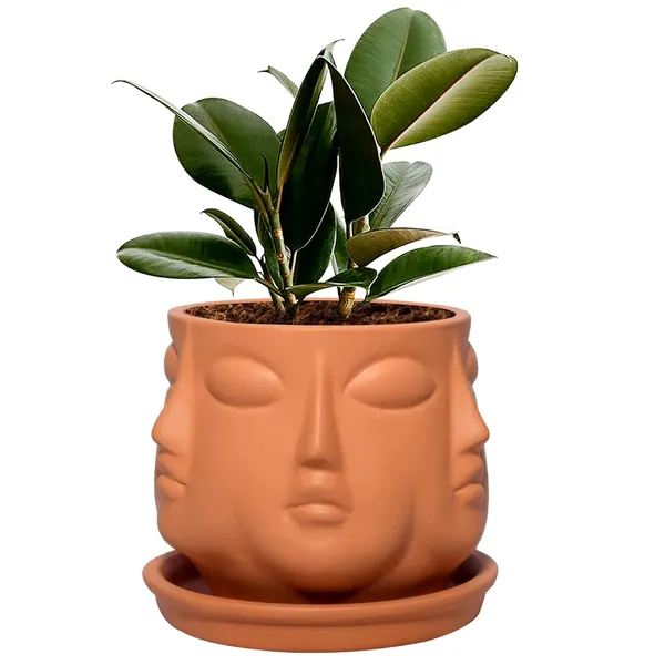 Vivan_Ceramic_Pot_With_Saucer_Plate_Tray_For_Indoor_Plants_Living_Room_Home_Décor_(Color:_Ginger,_Plate:_Round_4_Inch)