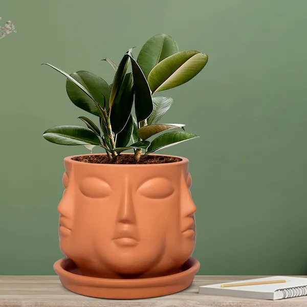 Vivan_Ceramic_Pot_With_Saucer_Plate_Tray_For_Indoor_Plants_Living_Room_Home_Décor_(Color:_Ginger,_Plate:_Round_4_Inch)