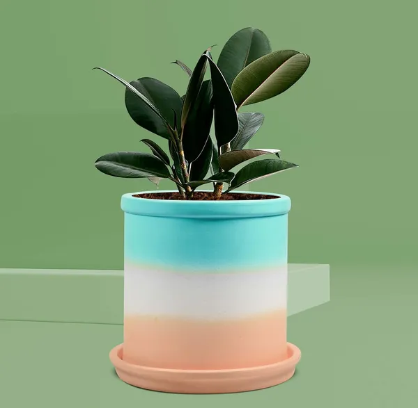 Gloria_Ceramic_Pot_With_Saucer_Plate_Tray_For_Indoor_Plants_Planter_Living_Room_Garden_Balcony_Home_Décor_(Color:_Multi,_Plate:_Round_5_Inch_Pink)