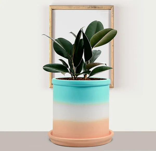 Gloria_Ceramic_Pot_With_Saucer_Plate_Tray_For_Indoor_Plants_Planter_Living_Room_Garden_Balcony_Home_Décor_(Color:_Multi,_Plate:_Round_5_Inch_Pink)
