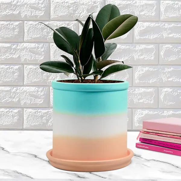Gloria_Ceramic_Pot_With_Saucer_Plate_Tray_For_Indoor_Plants_Planter_Living_Room_Garden_Balcony_Home_Décor_(Color:_Multi,_Plate:_Round_5_Inch_Pink)