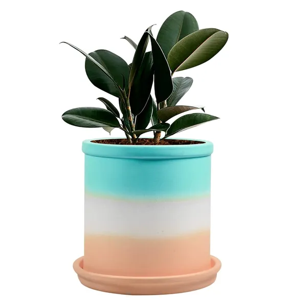 Gloria_Ceramic_Pot_With_Saucer_Plate_Tray_For_Indoor_Plants_Planter_Living_Room_Garden_Balcony_Home_Décor_(Color:_Multi,_Plate:_Round_5_Inch_Pink)