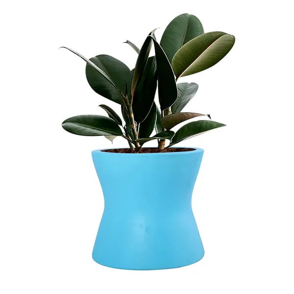 Damru_Aqua_Ceramic_Pots_For_Indoor_Plants,_Planters,_Flower,_Pots,_Gamla,_Outdoor,_Balcony,_Home,_Garden,_Office_Decor,_Succulent_Pot(H_-_11_X_D_-_11_Cm)