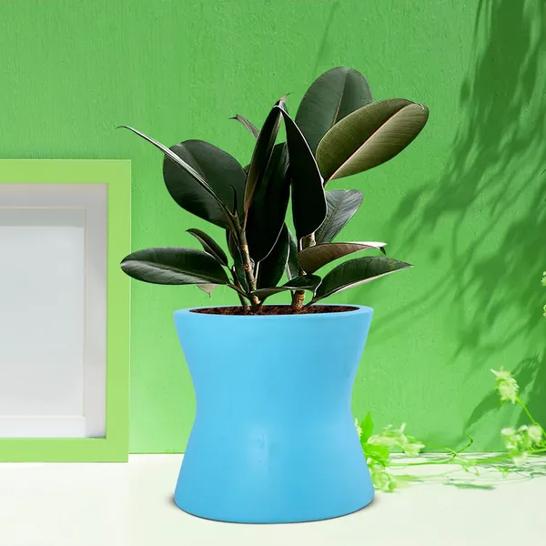 Damru_Aqua_Ceramic_Pots_For_Indoor_Plants,_Planters,_Flower,_Pots,_Gamla,_Outdoor,_Balcony,_Home,_Garden,_Office_Decor,_Succulent_Pot(H_-_11_X_D_-_11_Cm)