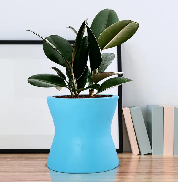 Damru_Aqua_Ceramic_Pots_For_Indoor_Plants,_Planters,_Flower,_Pots,_Gamla,_Outdoor,_Balcony,_Home,_Garden,_Office_Decor,_Succulent_Pot(H_-_11_X_D_-_11_Cm)