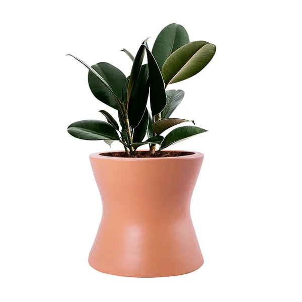 Damru_Ginger_Ceramic_Pots_For_Indoor_Plants,_Planters,_Flower,_Pots,_Gamla,_Outdoor,_Balcony,_Home,_Garden,_Office_Decor,_Succulent_Pot(H_-_11_X_D_-_11_Cm)