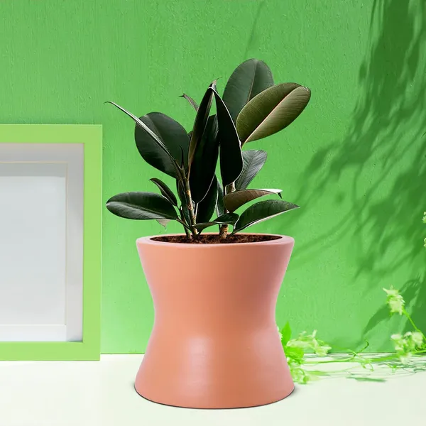 Damru_Ginger_Ceramic_Pots_For_Indoor_Plants,_Planters,_Flower,_Pots,_Gamla,_Outdoor,_Balcony,_Home,_Garden,_Office_Decor,_Succulent_Pot(H_-_11_X_D_-_11_Cm)