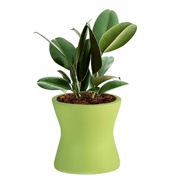 Damru_Mint_Ceramic_Pots_For_Indoor_Plants,_Planters,_Flower,_Pots,_Gamla,_Outdoor,_Balcony,_Home,_Garden,_Office_Decor,_Succulent_Pot(H_-_11_X_D_-_11_Cm)