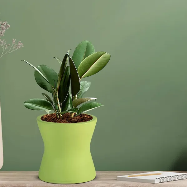 Damru_Mint_Ceramic_Pots_For_Indoor_Plants,_Planters,_Flower,_Pots,_Gamla,_Outdoor,_Balcony,_Home,_Garden,_Office_Decor,_Succulent_Pot(H_-_11_X_D_-_11_Cm)