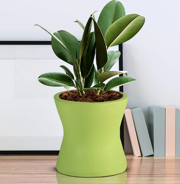 Damru_Mint_Ceramic_Pots_For_Indoor_Plants,_Planters,_Flower,_Pots,_Gamla,_Outdoor,_Balcony,_Home,_Garden,_Office_Decor,_Succulent_Pot(H_-_11_X_D_-_11_Cm)