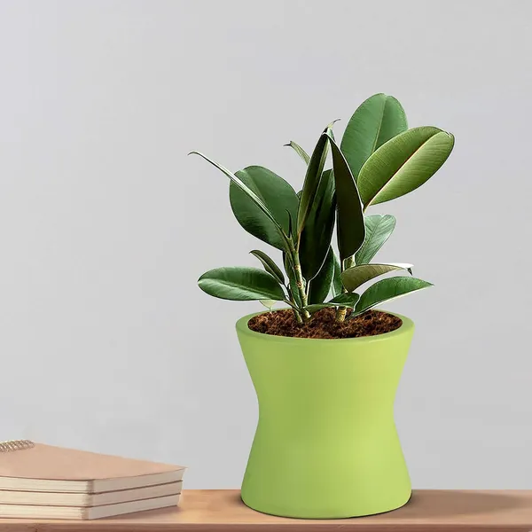 Damru_Mint_Ceramic_Pots_For_Indoor_Plants,_Planters,_Flower,_Pots,_Gamla,_Outdoor,_Balcony,_Home,_Garden,_Office_Decor,_Succulent_Pot(H_-_11_X_D_-_11_Cm)