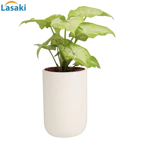 Jack_White_Ceramic_Pots_For_Indoor_Plants,_Planters,_Flower,_Pots,_Gamla,_Outdoor,_Balcony,_Home,_Garden,_Office_Decor,_Succulent_Pot(H_-_15_X_D_-_10_Cm)