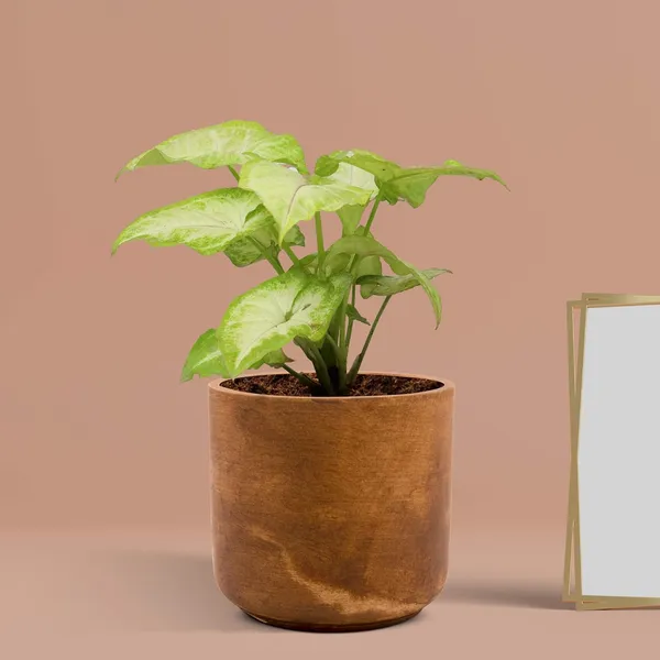 Zeno_Antique_Ceramic_Pots_For_Indoor_Plants,_Planters,_Flower,_Pots,_Gamla,_Outdoor,_Balcony,_Home,_Garden,_Office_Decor,_Succulent_Pot(H_-_9_X_D_-_9_Cm)