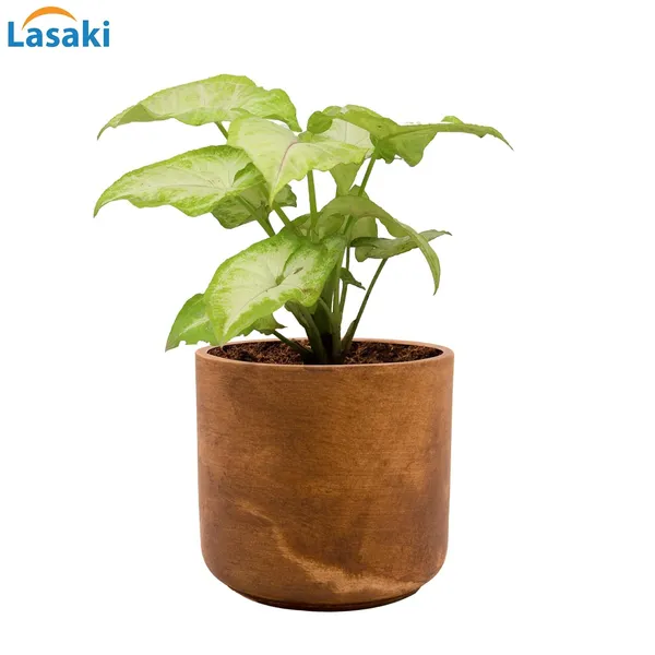 Zeno_Antique_Ceramic_Pots_For_Indoor_Plants,_Planters,_Flower,_Pots,_Gamla,_Outdoor,_Balcony,_Home,_Garden,_Office_Decor,_Succulent_Pot(H_-_9_X_D_-_9_Cm)