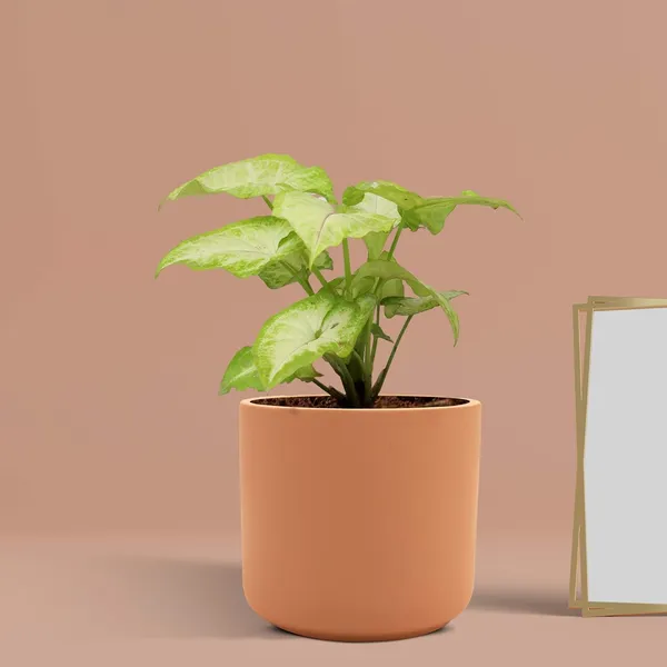 Zeno_Ginger_Ceramic_Pots_For_Indoor_Plants,_Planters,_Flower,_Pots,_Gamla,_Outdoor,_Balcony,_Home,_Garden,_Office_Decor,_Succulent_Pot(H_-_9_X_D_-_9_Cm)
