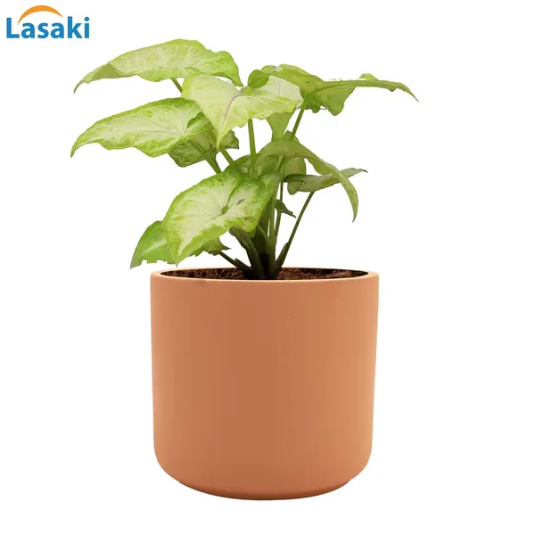Zeno_Ginger_Ceramic_Pots_For_Indoor_Plants,_Planters,_Flower,_Pots,_Gamla,_Outdoor,_Balcony,_Home,_Garden,_Office_Decor,_Succulent_Pot(H_-_9_X_D_-_9_Cm)