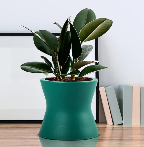 Damru_Deep_Jungle_Ceramic_Pots_For_Indoor_Plants,_Planters,_Flower,_Pots,_Gamla,_Outdoor,_Balcony,_Home,_Garden,_Office_Decor,_Succulent_Pot(H_-_11_X_D_-_11_Cm)