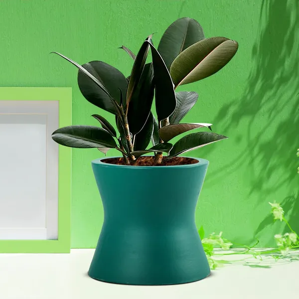 Damru_Deep_Jungle_Ceramic_Pots_For_Indoor_Plants,_Planters,_Flower,_Pots,_Gamla,_Outdoor,_Balcony,_Home,_Garden,_Office_Decor,_Succulent_Pot(H_-_11_X_D_-_11_Cm)
