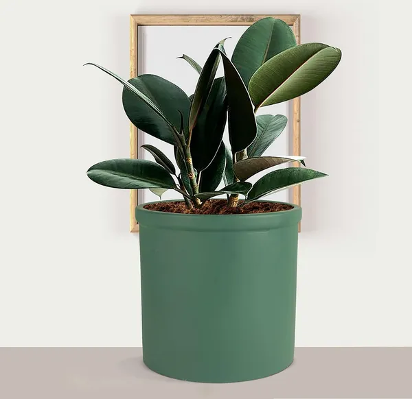 Gloria_Deep_Jungle_Ceramic_Pots_For_Indoor_Plants,_Planters,_Flower,_Pots,_Gamla,_Outdoor,_Balcony,_Home,_Garden,_Office_Decor,_Succulent_Pot(H_-_13_X_D_-_13_Cm)