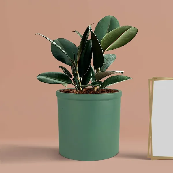 Gloria_Deep_Jungle_Ceramic_Pots_For_Indoor_Plants,_Planters,_Flower,_Pots,_Gamla,_Outdoor,_Balcony,_Home,_Garden,_Office_Decor,_Succulent_Pot(H_-_13_X_D_-_13_Cm)
