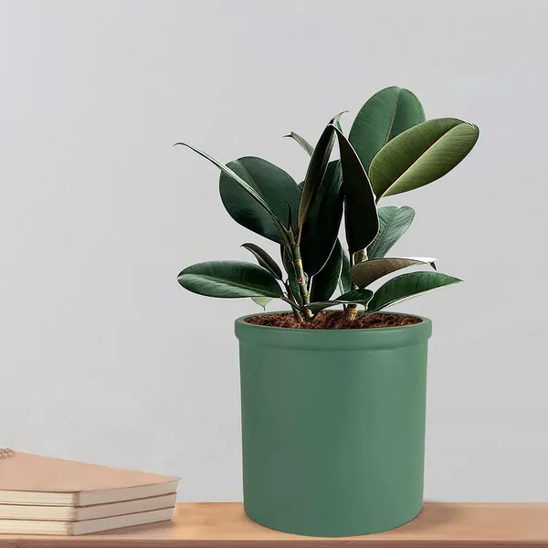 Gloria_Deep_Jungle_Ceramic_Pots_For_Indoor_Plants,_Planters,_Flower,_Pots,_Gamla,_Outdoor,_Balcony,_Home,_Garden,_Office_Decor,_Succulent_Pot(H_-_13_X_D_-_13_Cm)