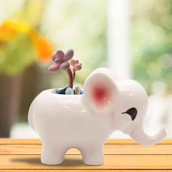 Jumbo_Small_White_Ceramic_Pots_For_Indoor_Plants,_Planters,_Flower,_Gamla,_Outdoor,_Balcony,_Home,_Garden,_Office_Decor,_Succulent_Pot_(L_-_18_X_W_-_10_X_H_-_12_Cm)