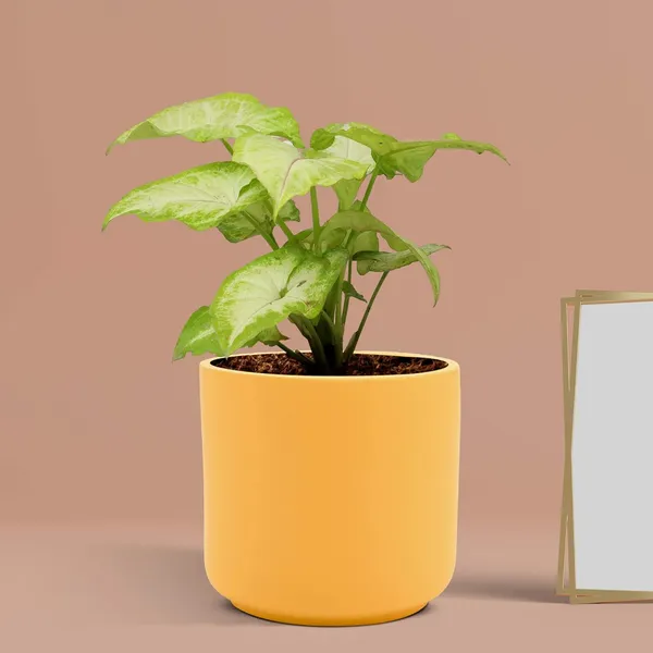 Zeno_Saffron_Ceramic_Pots_For_Indoor_Plants,_Planters,_Flower,_Pots,_Gamla,_Outdoor,_Balcony,_Home,_Garden,_Office_Decor,_Succulent_Pot(H_-_9_X_D_-_9_Cm)