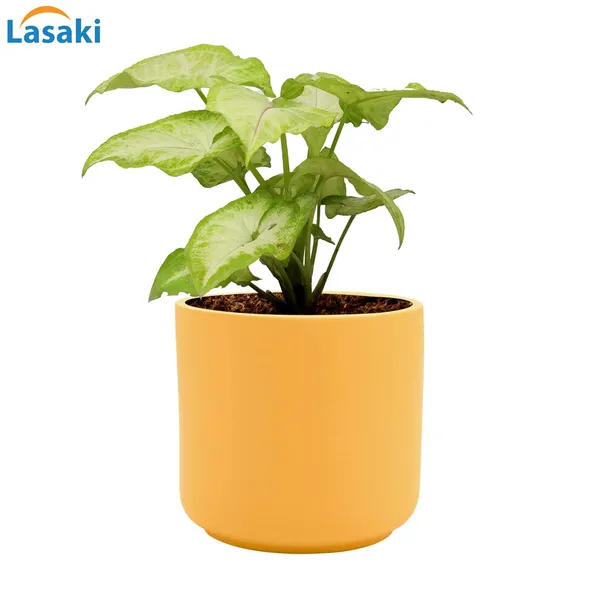 Zeno_Saffron_Ceramic_Pots_For_Indoor_Plants,_Planters,_Flower,_Pots,_Gamla,_Outdoor,_Balcony,_Home,_Garden,_Office_Decor,_Succulent_Pot(H_-_9_X_D_-_9_Cm)