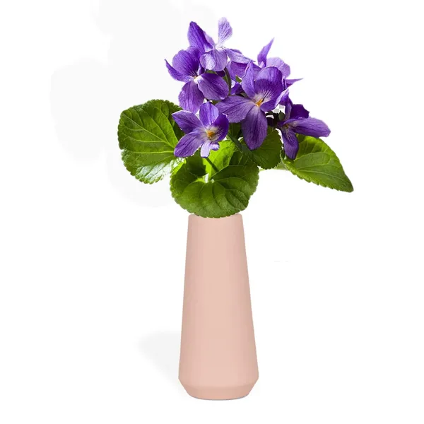 Finlay_Small_Pink_Ceramic_Flower_Vase_For_Living_Room,_Bedroom,_Dining_Table,_Home_Decoration_(H_-_16_X_D_-_4.5_Cm,_Pink)