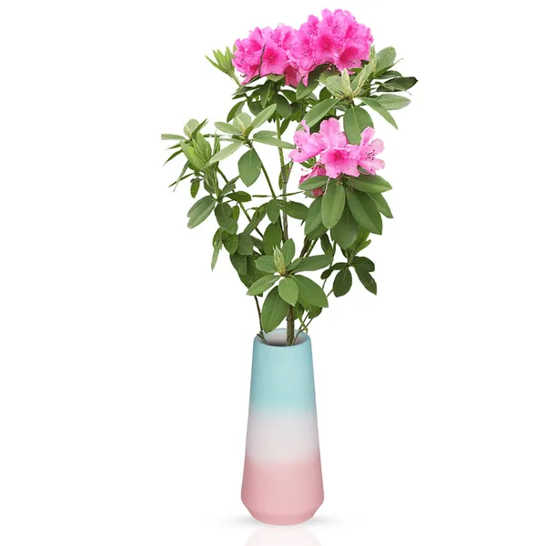 Finlay_Small_3T_Pwa_Ceramic_Flower_Vase_For_Living_Room,_Bedroom,_Dining_Table,_Home_Decoration_(H_-_16_X_D_-_4.5_Cm,_Multi)