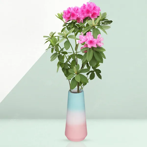 Finlay_Small_3T_Pwa_Ceramic_Flower_Vase_For_Living_Room,_Bedroom,_Dining_Table,_Home_Decoration_(H_-_16_X_D_-_4.5_Cm,_Multi)