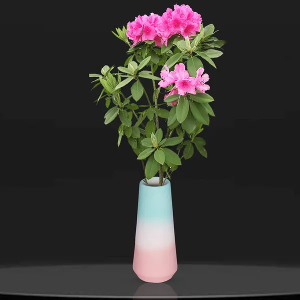 Finlay_Small_3T_Pwa_Ceramic_Flower_Vase_For_Living_Room,_Bedroom,_Dining_Table,_Home_Decoration_(H_-_16_X_D_-_4.5_Cm,_Multi)
