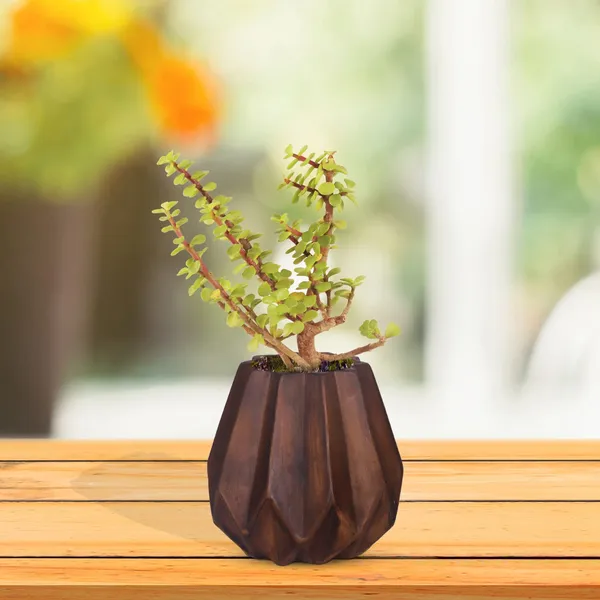 Izzy_Antique_Ceramic_Pots_For_Indoor_Plants,_Planters,_Flower,_Pots,_Gamla,_Outdoor,_Balcony,_Home,_Garden,_Office_Decor,_Succulent_Pot(H_-_15_X_D_-_9_Cm)