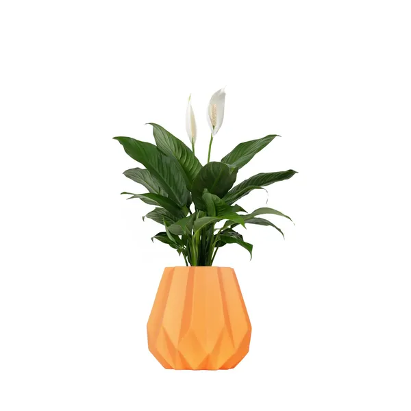 Izzy_Lily_Ceramic_Pots_For_Indoor_Plants,_Planters,_Flower,_Pots,_Gamla,_Outdoor,_Balcony,_Home,_Garden,_Office_Decor,_Succulent_Pot(H_-_15_X_D_-_9_Cm)