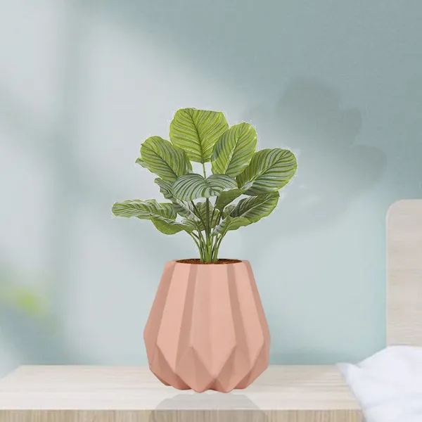 Izzy_Pink_Ceramic_Pots_For_Indoor_Plants,_Planters,_Flower,_Pots,_Gamla,_Outdoor,_Balcony,_Home,_Garden,_Office_Decor,_Succulent_Pot(H_-_15_X_D_-_9_Cm)