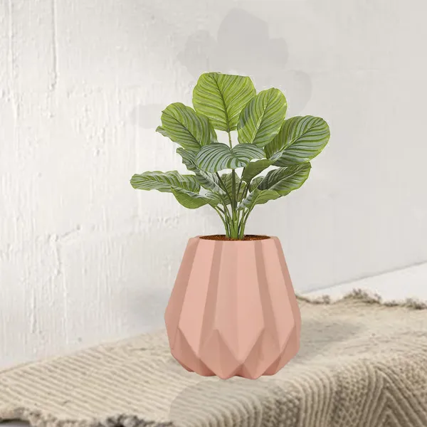 Izzy_Pink_Ceramic_Pots_For_Indoor_Plants,_Planters,_Flower,_Pots,_Gamla,_Outdoor,_Balcony,_Home,_Garden,_Office_Decor,_Succulent_Pot(H_-_15_X_D_-_9_Cm)