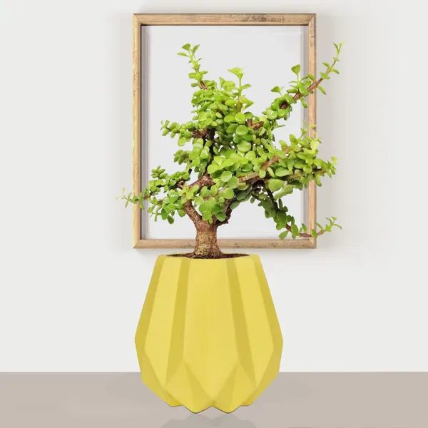 Izzy_Saffron_Ceramic_Pots_For_Indoor_Plants,_Planters,_Flower,_Pots,_Gamla,_Outdoor,_Balcony,_Home,_Garden,_Office_Decor,_Succulent_Pot(H_-_15_X_D_-_9_Cm)