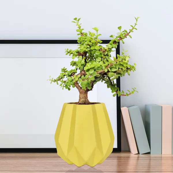 Izzy_Saffron_Ceramic_Pots_For_Indoor_Plants,_Planters,_Flower,_Pots,_Gamla,_Outdoor,_Balcony,_Home,_Garden,_Office_Decor,_Succulent_Pot(H_-_15_X_D_-_9_Cm)