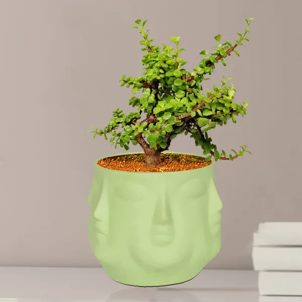 Vivan_Mint_Ceramic_Pots_For_Indoor_Plants,_Planters,_Flower,_Pots,_Gamla,_Outdoor,_Balcony,_Home,_Garden,_Office_Decor,_Succulent_Pot(H_-_10_X_D_-_10_Cm)