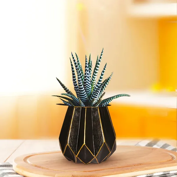 Izzy_Black_Gold_Ceramic_Pots_For_Indoor_Plants,_Planters,_Flower,_Pots,_Gamla,_Outdoor,_Balcony,_Home,_Garden,_Office_Decor,_Succulent_Pot(H_-_15_X_D_-_9_Cm)