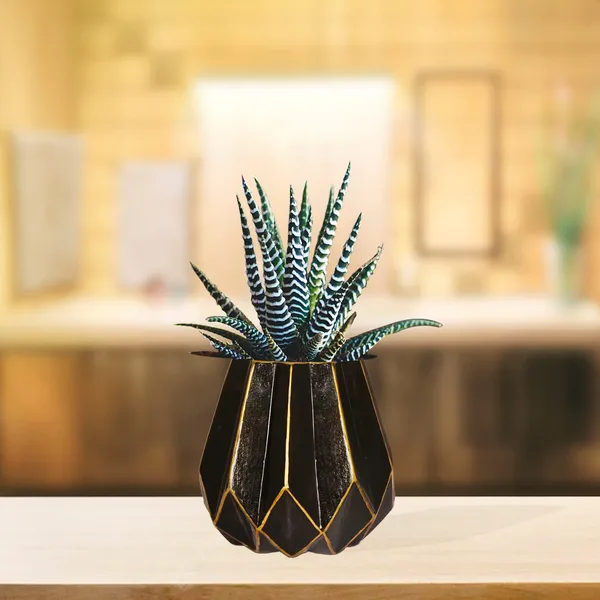 Izzy_Black_Gold_Ceramic_Pots_For_Indoor_Plants,_Planters,_Flower,_Pots,_Gamla,_Outdoor,_Balcony,_Home,_Garden,_Office_Decor,_Succulent_Pot(H_-_15_X_D_-_9_Cm)