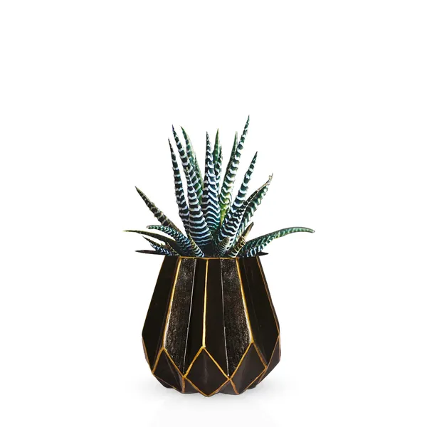 Izzy_Black_Gold_Ceramic_Pots_For_Indoor_Plants,_Planters,_Flower,_Pots,_Gamla,_Outdoor,_Balcony,_Home,_Garden,_Office_Decor,_Succulent_Pot(H_-_15_X_D_-_9_Cm)