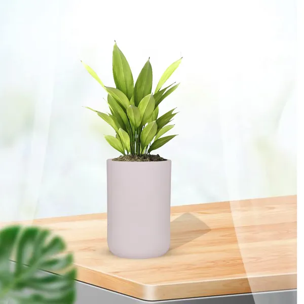 Jack_Purple_Ceramic_Pots_For_Indoor_Plants,_Planters,_Flower,_Pots,_Gamla,_Outdoor,_Balcony,_Home,_Garden,_Office_Decor,_Succulent_Pot(H_-_15_X_D_-_10_Cm)