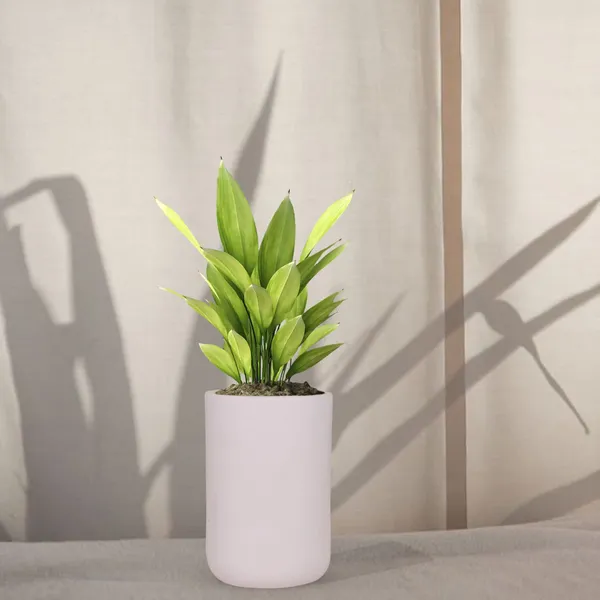Jack_Purple_Ceramic_Pots_For_Indoor_Plants,_Planters,_Flower,_Pots,_Gamla,_Outdoor,_Balcony,_Home,_Garden,_Office_Decor,_Succulent_Pot(H_-_15_X_D_-_10_Cm)