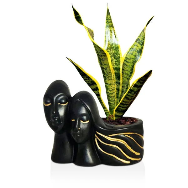 Couple_Black_Gold_Ceramic_Pots_For_Indoor_Plants,_Planters,_Flower,_Gamla,_Outdoor,_Balcony,_Home,_Garden,_Office_Decor,_Succulent_Pot(L_-_16_X_W_-_10_X_H_-_14.5_Cm)