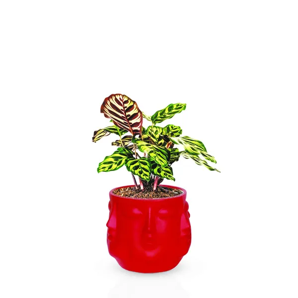 Vivan_Red_Ceramic_Pots_For_Indoor_Plants,_Planters,_Flower,_Pots,_Gamla,_Outdoor,_Balcony,_Home,_Garden,_Office_Decor,_Succulent_Pot(H_-_10_X_D_-_10_Cm)