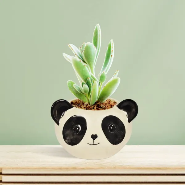 Puppy_Black_&_White_Ceramic_Pots_For_Indoor_Plants,Planters,Panda,Flower,_Gamla,Outdoor,_Balcony,_Home,Round,Garden,_Office_Decor,_Succulent_Pot_(D_-_10_X_H_-_9_Cm)
