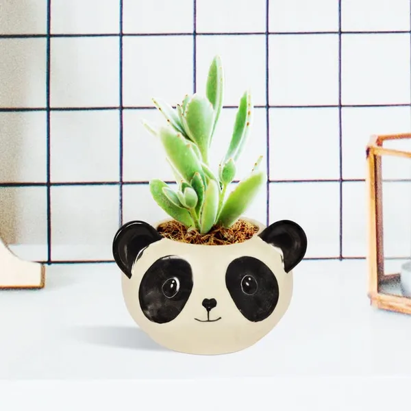 Puppy_Black_&_White_Ceramic_Pots_For_Indoor_Plants,Planters,Panda,Flower,_Gamla,Outdoor,_Balcony,_Home,Round,Garden,_Office_Decor,_Succulent_Pot_(D_-_10_X_H_-_9_Cm)